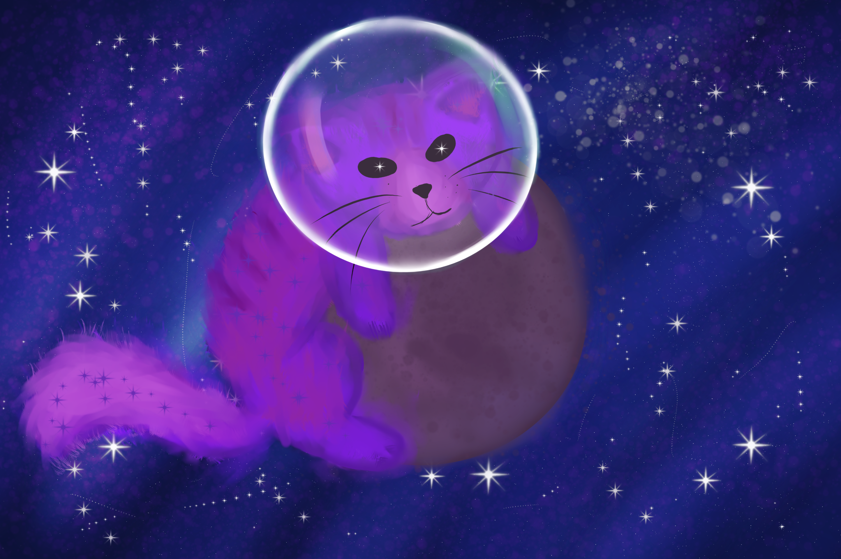 Cosmic Owl Companion