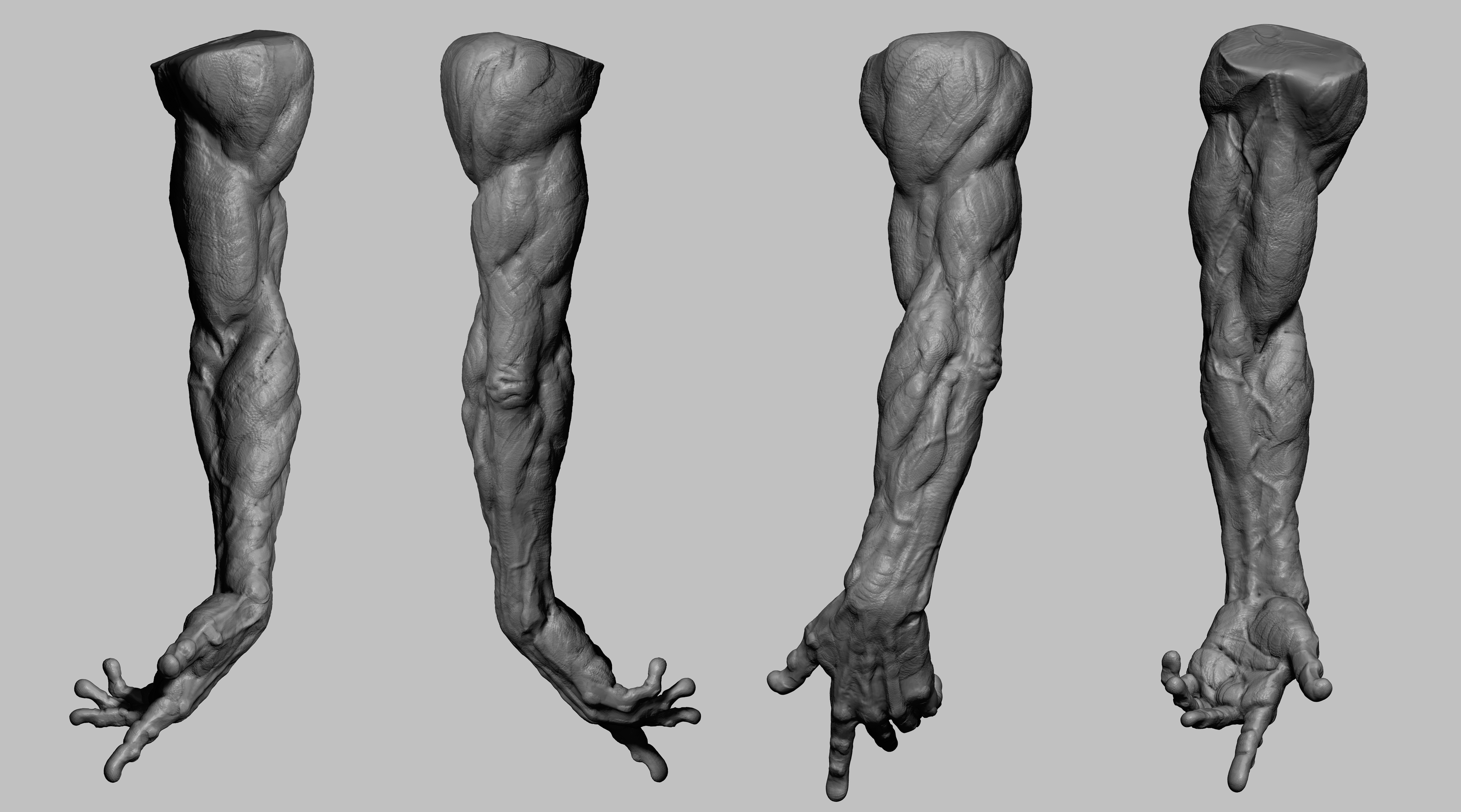 Leg Form Study